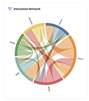 a screenshot of chord diagram built with D3